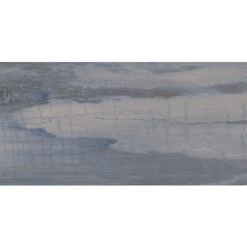CIFRE FOSSIL 