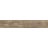 DELCONCA VIGNONI  WOOD Rett.
